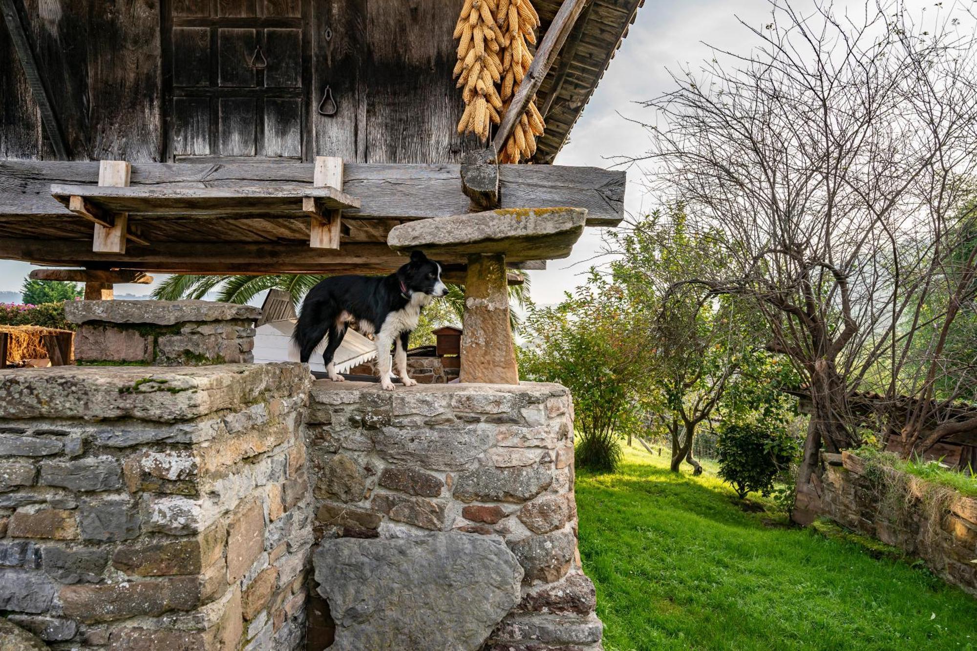 La Casina Del Fresnu Casa de hóspedes Onon Exterior foto
